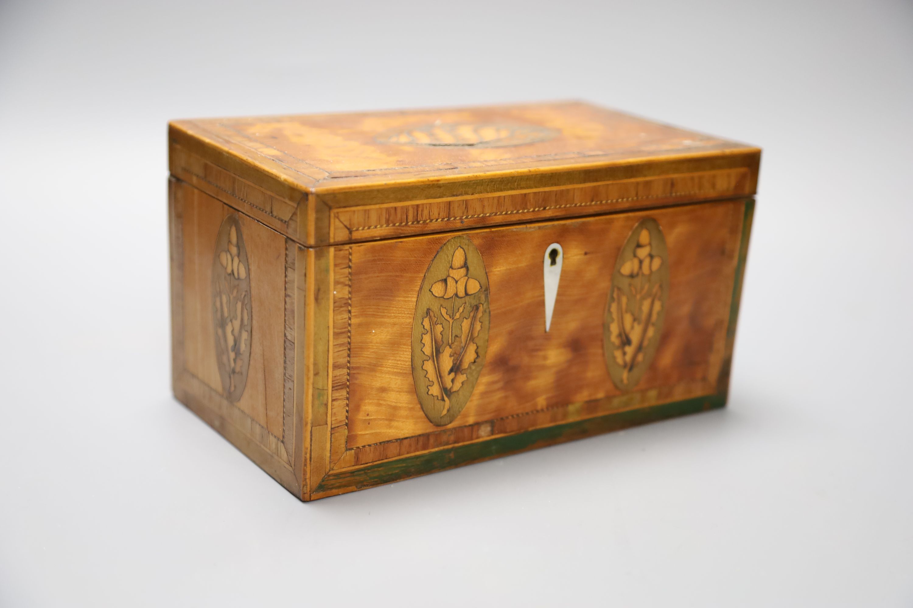 Two George III marquetry tea caddies, longest 20cm